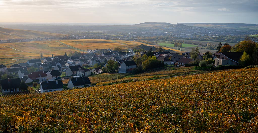 Panoramic autuimn view on colorful champagne vineyards and village Hautvillers near Epernay, Champange, France