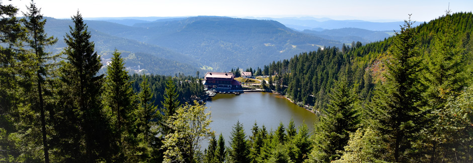 Heart of the Black Forest 2026 & 2027
