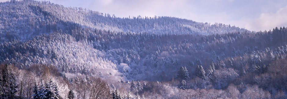 Black Forest Advent Adventure 2026 & 2027