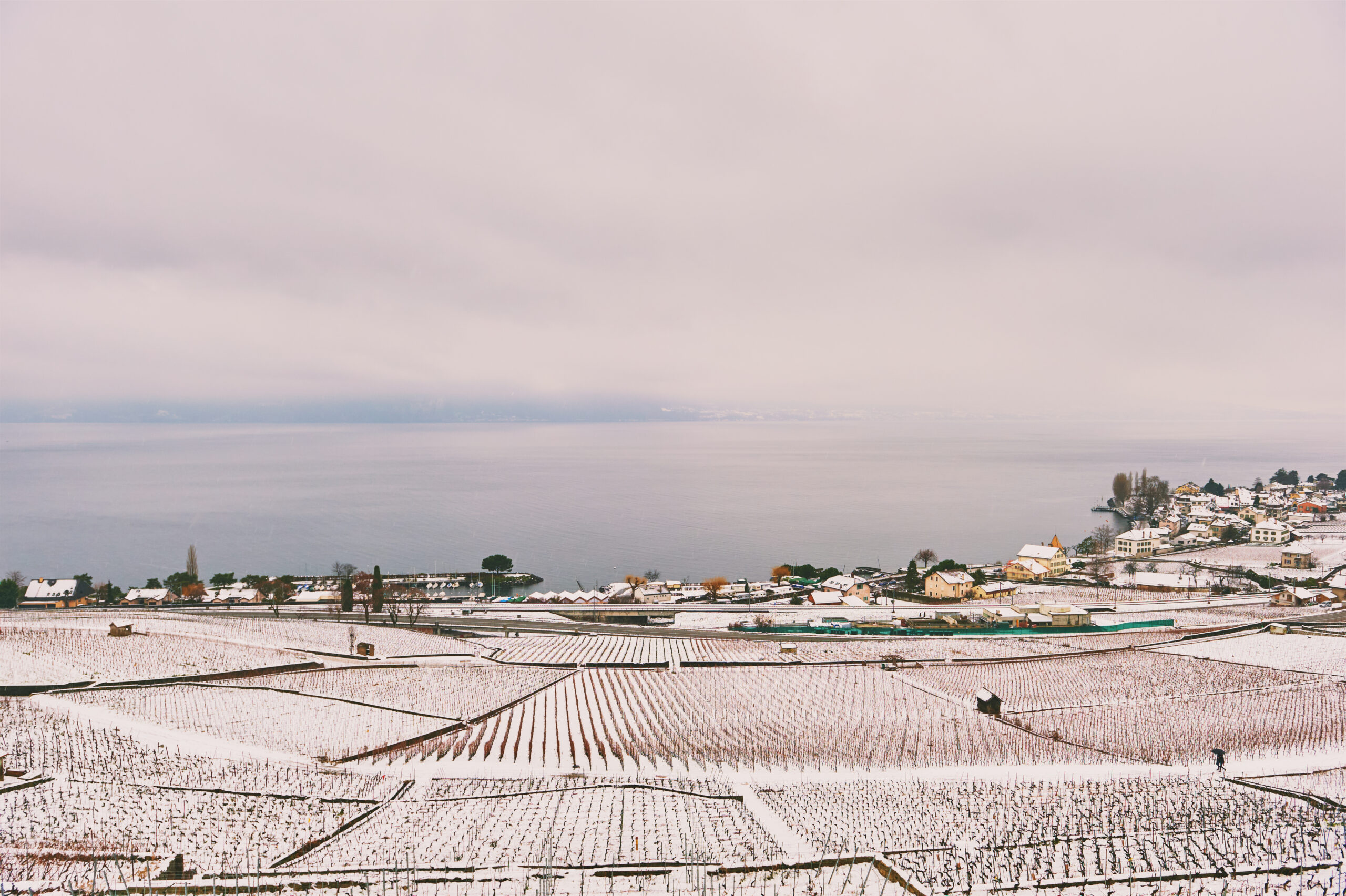 lavaux vineyards in winter switzerland