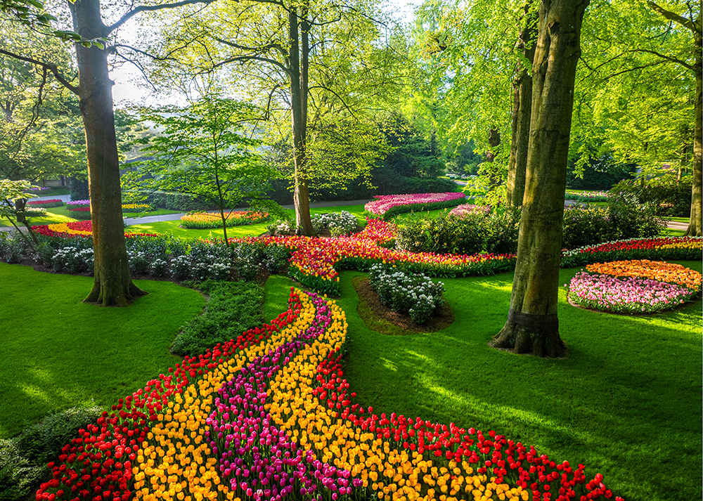 Keukenhof Gardens in Holland, with tulips in full colour