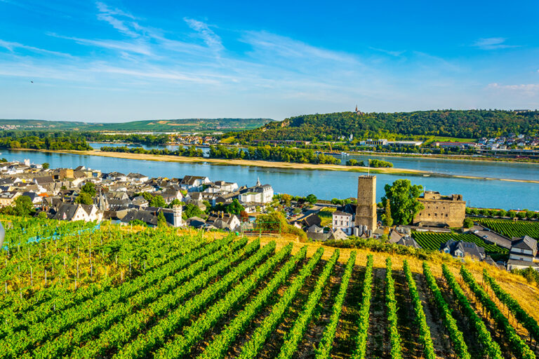 The Rhine, Some Wine & Rüdesheim 2027