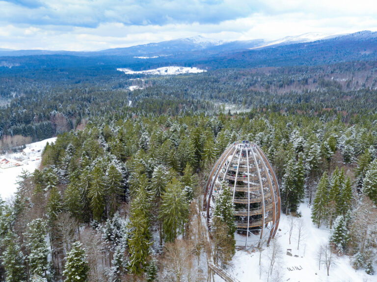 Bavarian Forest  2027