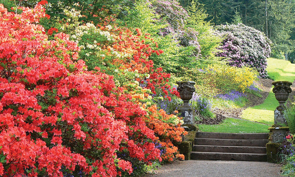 Dawyck Botanical Garden