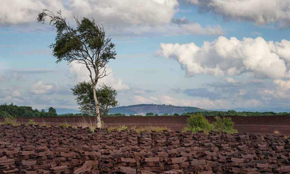 Lullymore Bog & Hill Of Allen