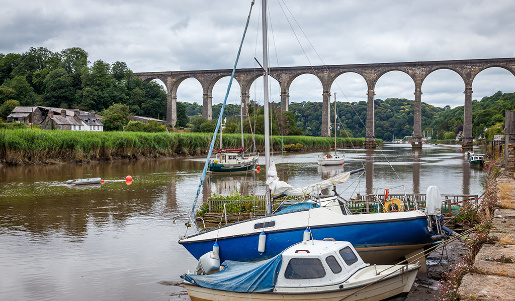 The River Tamar at Calstock with the viaduct in the background. Cornwall England UK