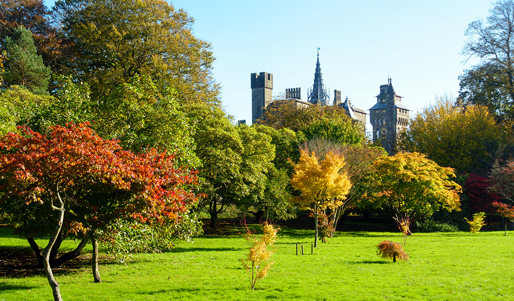 Bute Park with sunlit trees in vibrant autumn colours and Cardiff Castle in the background.