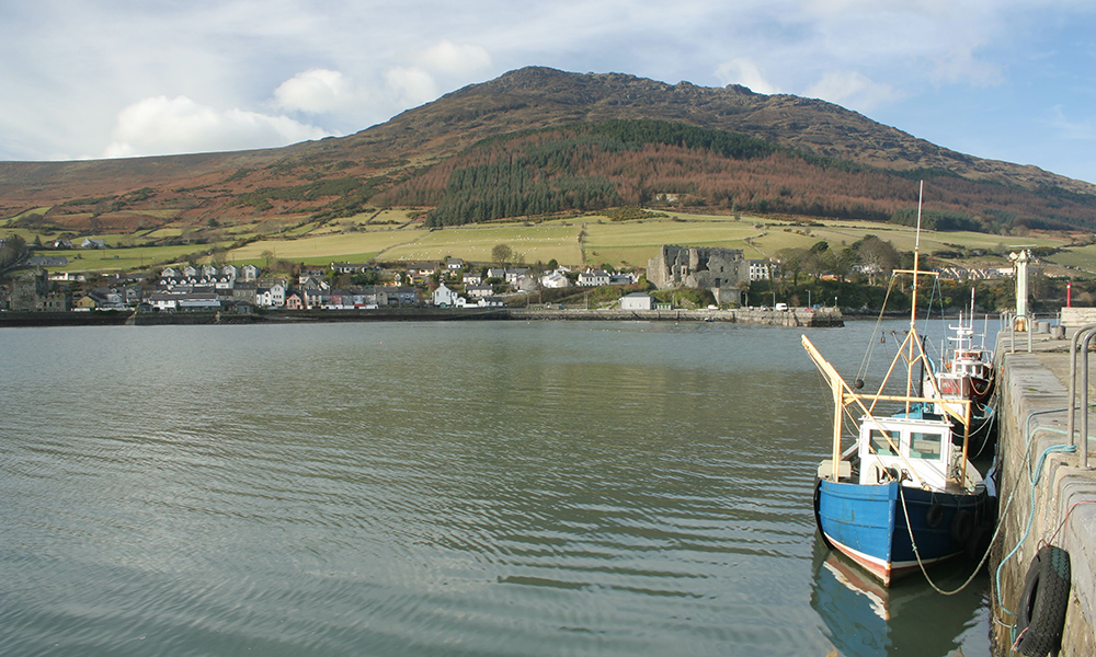 Carlingford Harbour