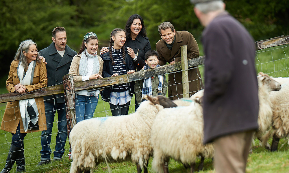 Causey Farm Sheepdog Demo
