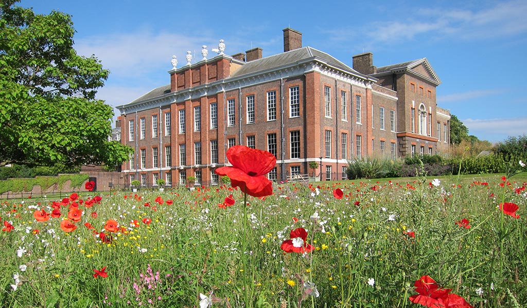 The East Front Gardens wildflower meadow, showing red poppies (Papaver rhoeas), white campion (Silene latifolia) and other wildflowers and grasses, 2 July 2019. Looking north-west towards the East and South Fronts.