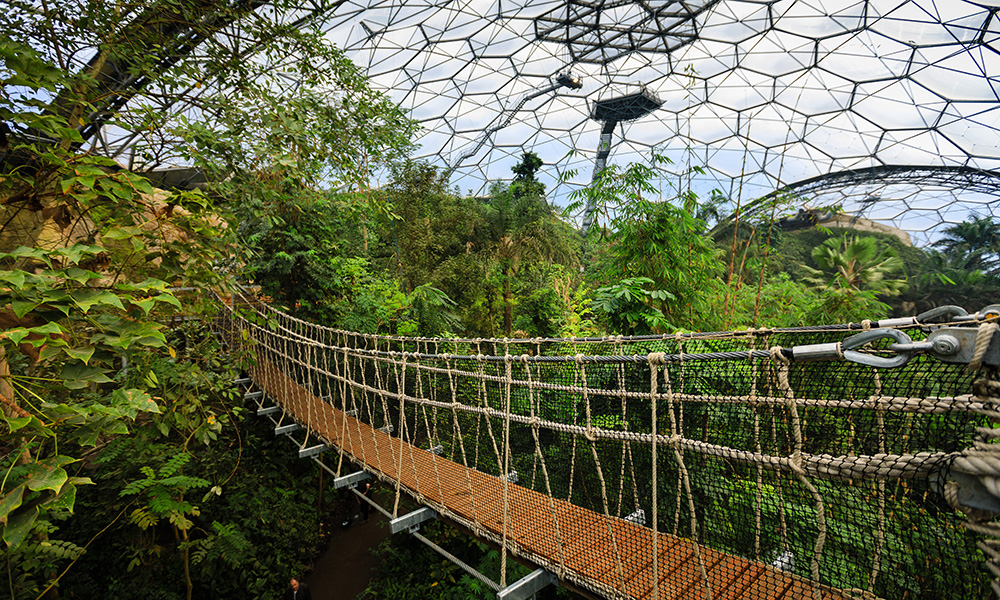 Eden Project Rainforest BiomeCredit Steve Tanner