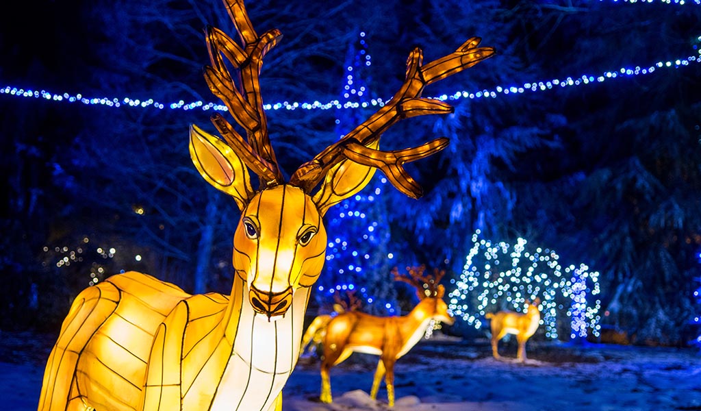 Longleat Festival of Light 12