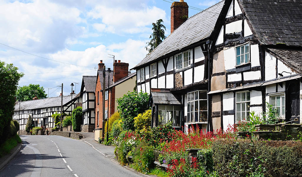Ttraditional white timbered building showing areas of restoration with the wattle and daub method along East Street, Pembridge, Herefordshire, England, UK, Western Europe.