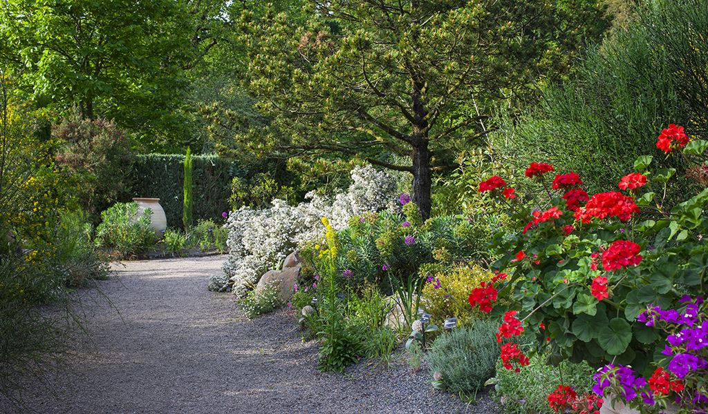 Mediterranean Garden at RHS Garden Rosemoor