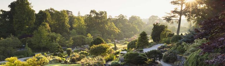 Getting a Taste for Surrey’s Finer Sights 2027