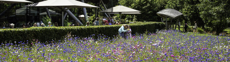 All Spired Up: Oxford, Royal Windsor & Ornamental Gardens 2027