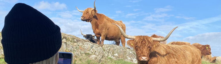 Coos, Castles & Coastlines 2027